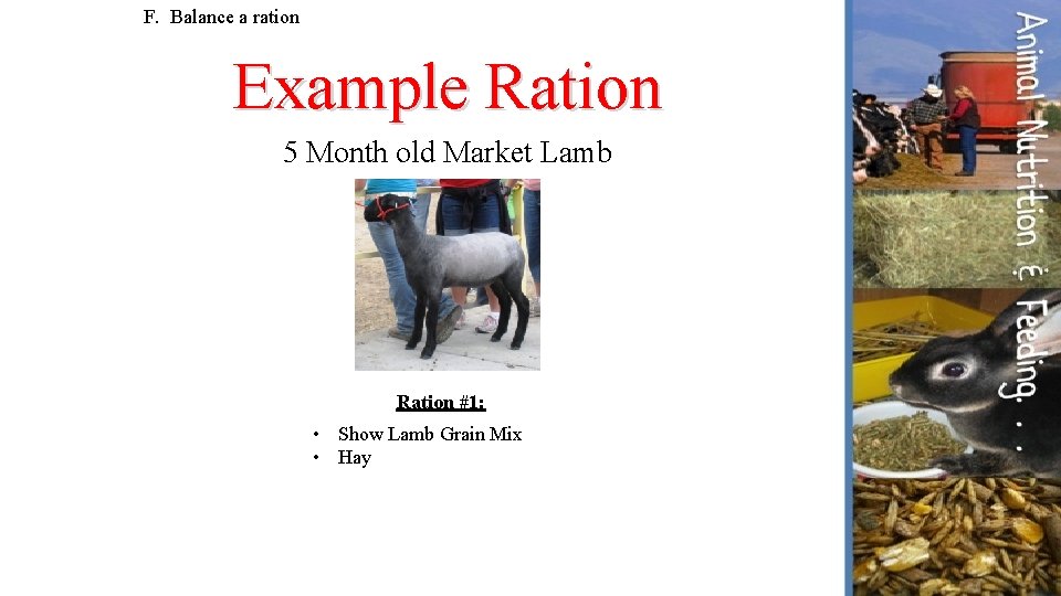 F. Balance a ration Example Ration 5 Month old Market Lamb Ration #1: •
