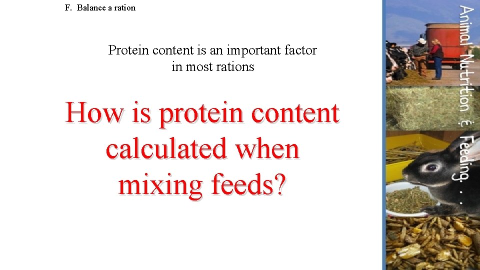 F. Balance a ration Protein content is an important factor in most rations How