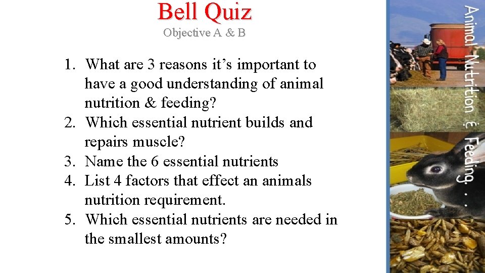 Bell Quiz Objective A & B 1. What are 3 reasons it’s important to