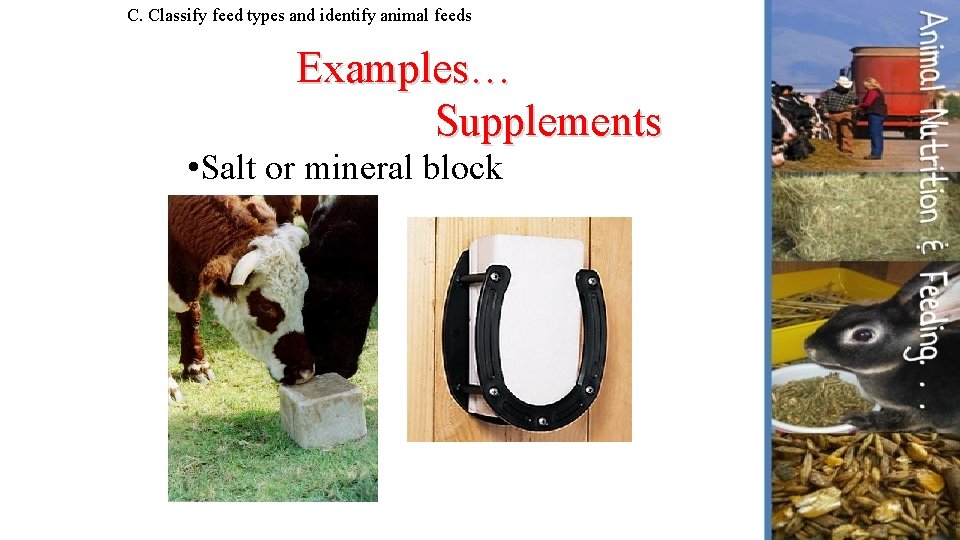 C. Classify feed types and identify animal feeds Examples… Supplements • Salt or mineral