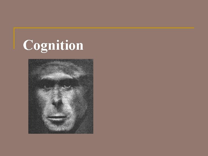 Cognition 
