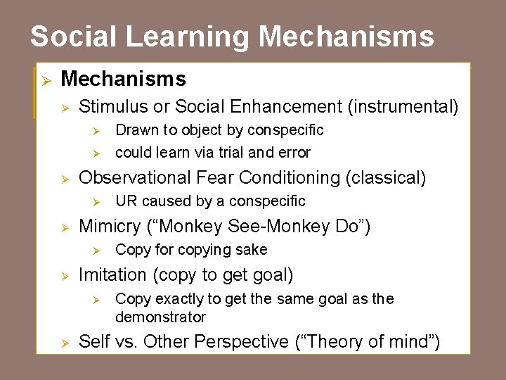 Social Learning Mechanisms Ø Stimulus or Social Enhancement (instrumental) Ø Ø Ø Observational Fear