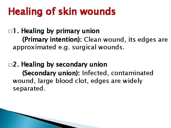 Healing of skin wounds � 1. Healing by primary union (Primary intention): Clean wound,