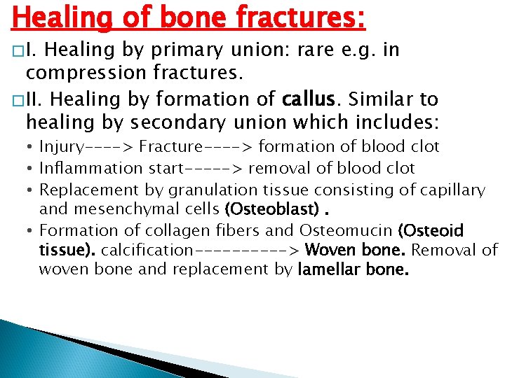 Healing of bone fractures: �I. Healing by primary union: rare e. g. in compression