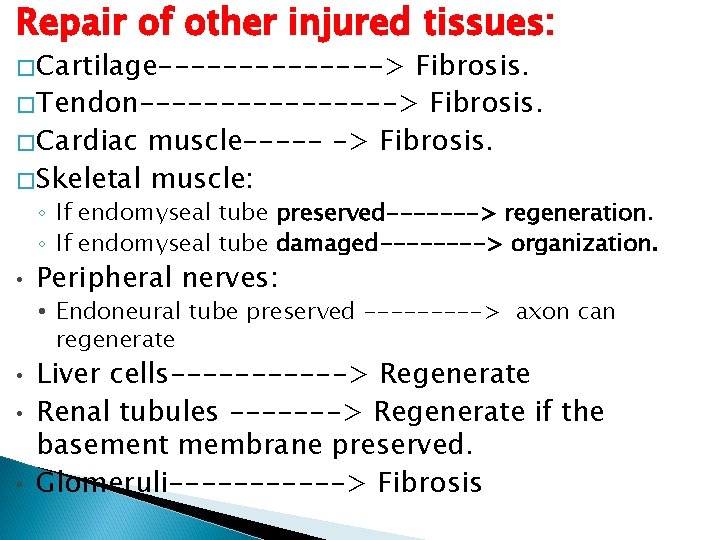 Repair of other injured tissues: �Cartilage-------> Fibrosis. �Tendon--------> Fibrosis. �Cardiac muscle----- -> Fibrosis. �Skeletal