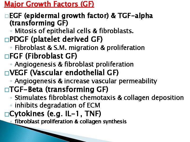 Major Growth Factors (GF) � EGF (epidermal growth factor) & TGF-alpha (transforming GF) ◦