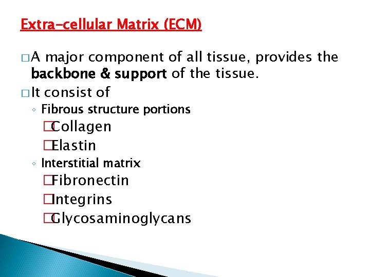 Extra-cellular Matrix (ECM) �A major component of all tissue, provides the backbone & support