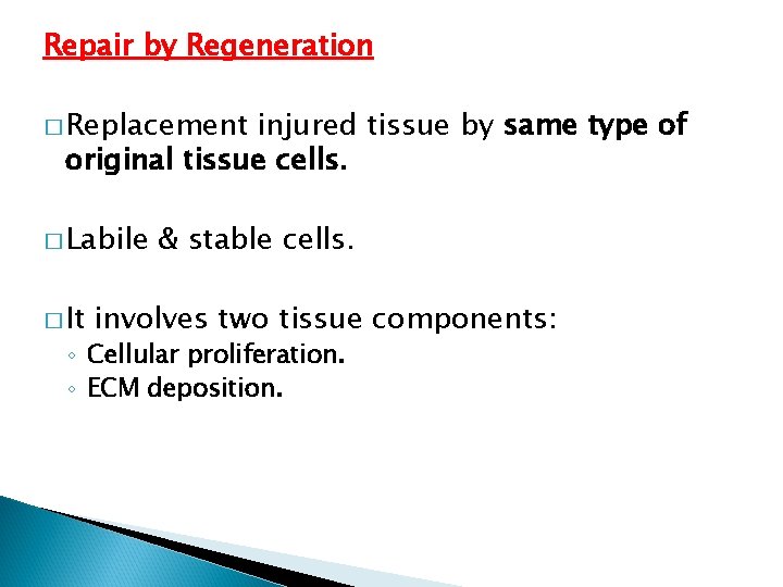 Repair by Regeneration � Replacement injured tissue by same type of original tissue cells.