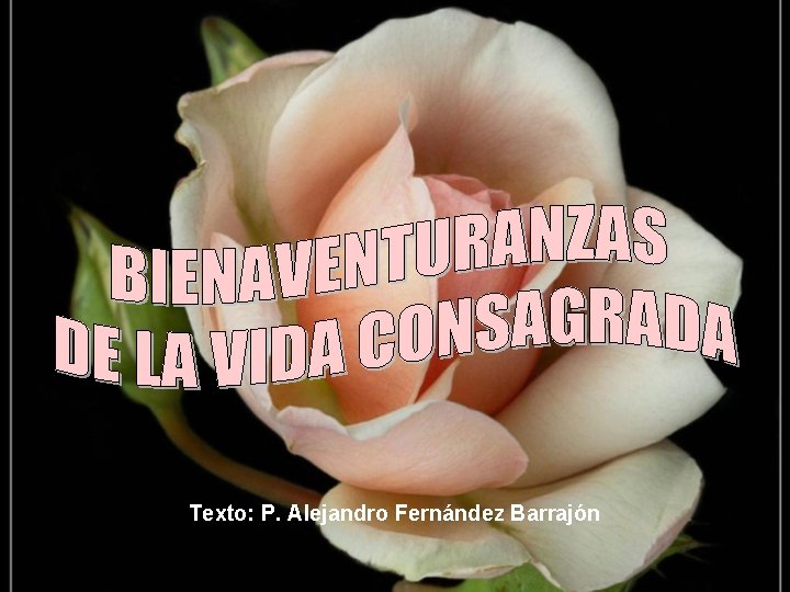 Texto: P. Alejandro Fernández Barrajón 