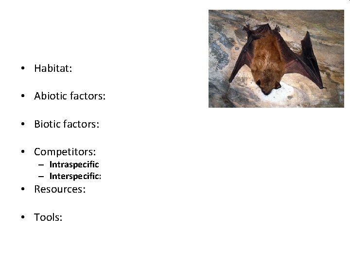  • Habitat: • Abiotic factors: • Biotic factors: • Competitors: – Intraspecific –
