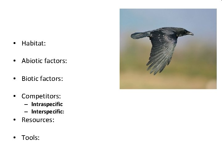  • Habitat: • Abiotic factors: • Biotic factors: • Competitors: – Intraspecific –