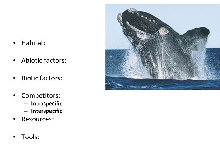  • Habitat: • Abiotic factors: • Biotic factors: • Competitors: – Intraspecific –