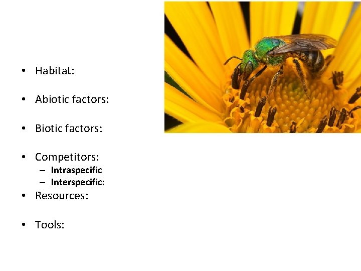  • Habitat: • Abiotic factors: • Biotic factors: • Competitors: – Intraspecific –