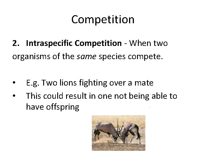 Competition 2. Intraspecific Competition - When two organisms of the same species compete. •