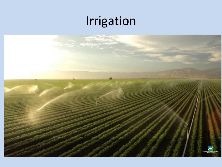 Irrigation 