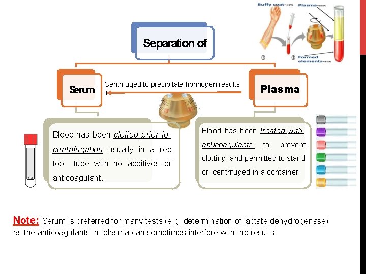 Separation of Serum Centrifuged to precipitate fibrinogen results in Blood has been clotted prior