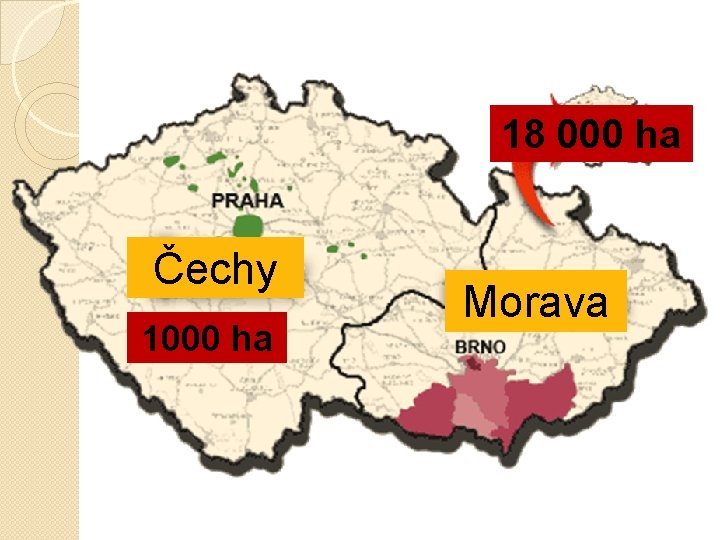 18 000 ha Čechy 1000 ha Morava 