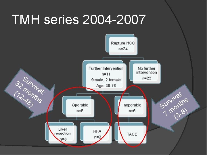 TMH series 2004 -2007 Su 32 rv m ival (1 o n : 2