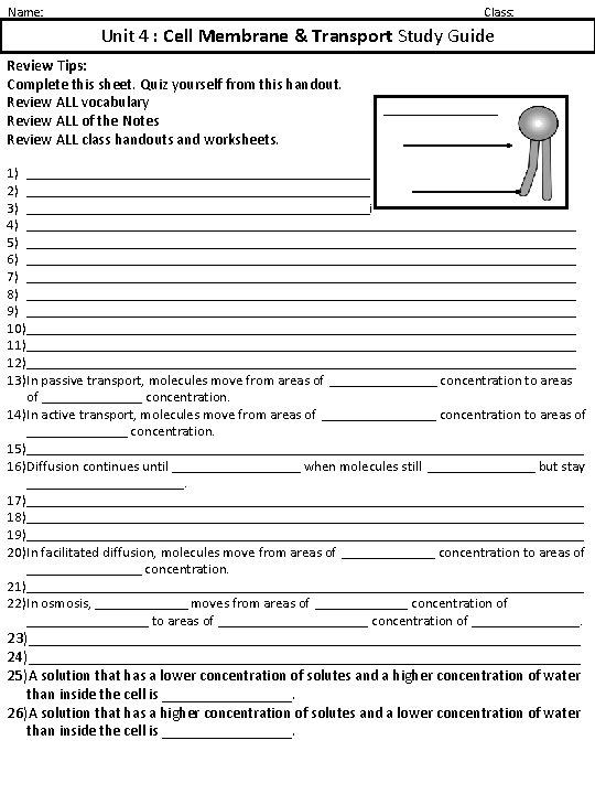 Name: Class: Unit 4 : Cell Membrane & Transport Study Guide Review Tips: Complete