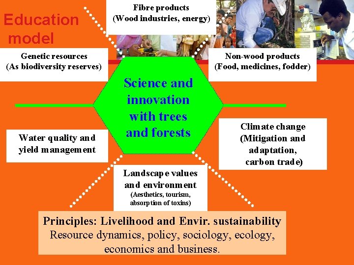 Education model Fibre products (Wood industries, energy) Genetic resources (As biodiversity reserves) Water quality