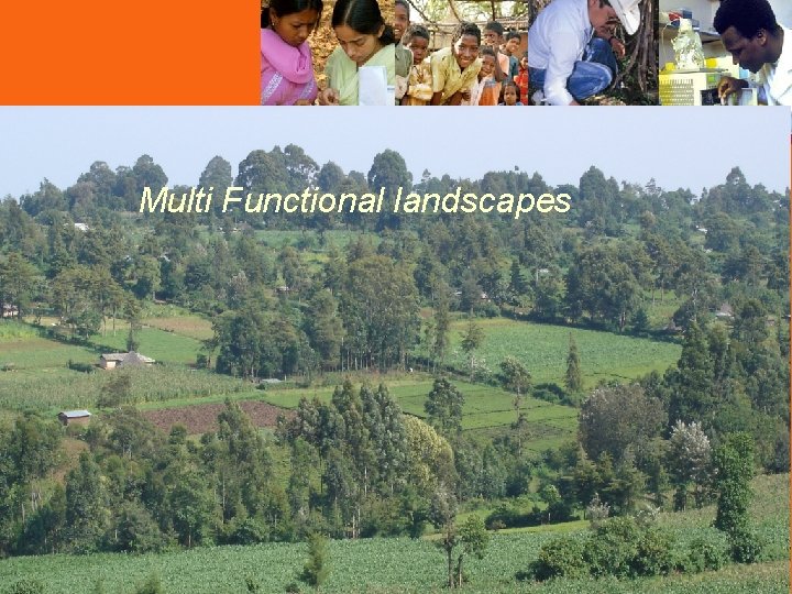 Multi Functional landscapes 