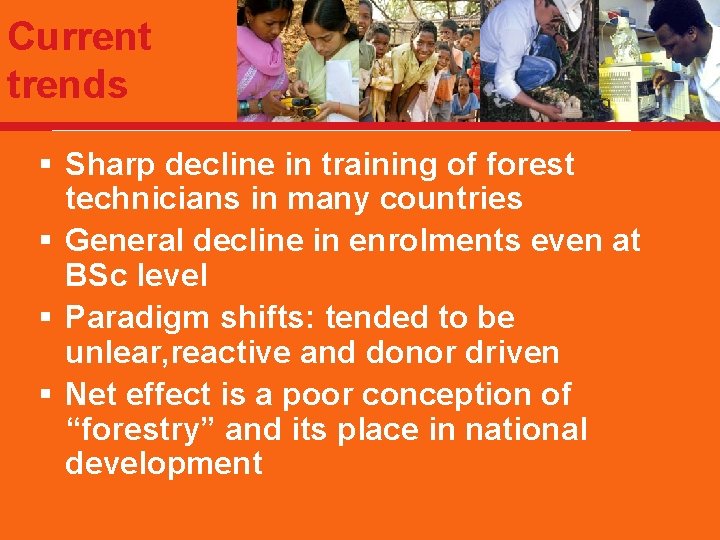Current trends § Sharp decline in training of forest technicians in many countries §