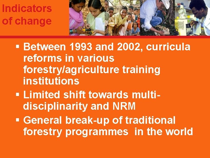 Indicators of change § Between 1993 and 2002, curricula reforms in various forestry/agriculture training