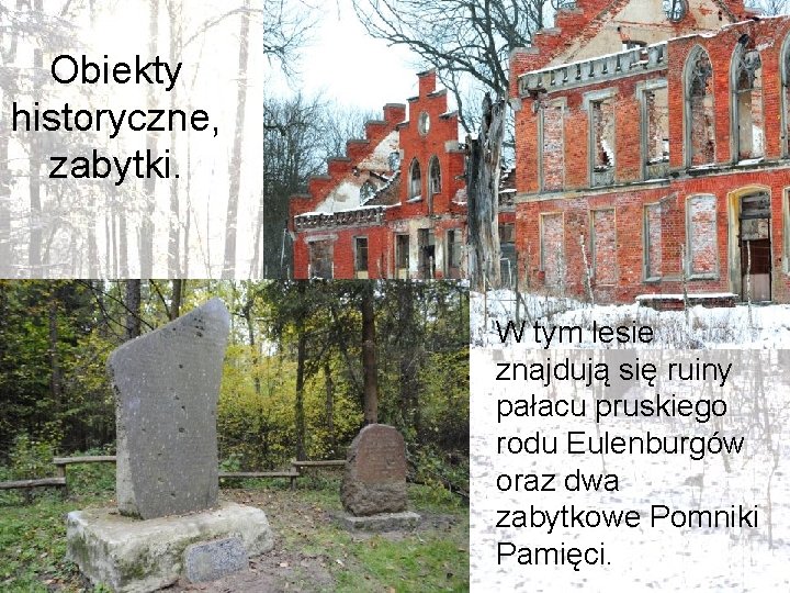 Obiekty historyczne, zabytki. W tym lesie znajdują się ruiny pałacu pruskiego rodu Eulenburgów oraz