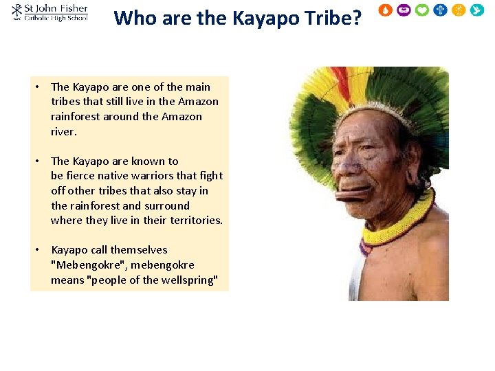 Who are the Kayapo Tribe? • The Kayapo are one of the main tribes