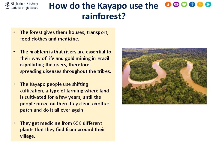 How do the Kayapo use the rainforest? • The forest gives them houses, transport,