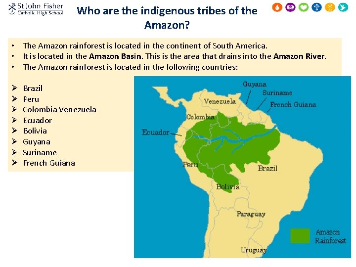 Who are the indigenous tribes of the Amazon? • The Amazon rainforest is located