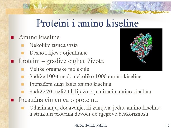 Proteini i amino kiseline n Amino kiseline n n n Proteini – gradive ciglice