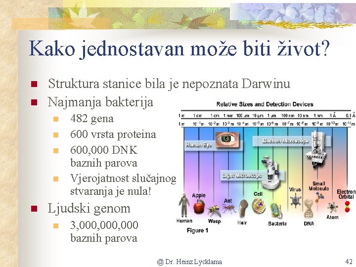 Kako jednostavan može biti život? n n Struktura stanice bila je nepoznata Darwinu Najmanja