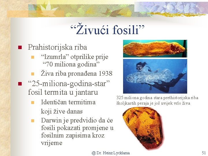 “Živući fosili” n Prahistorijska riba n n n “Izumrla” otprilike prije “ 70 miliona