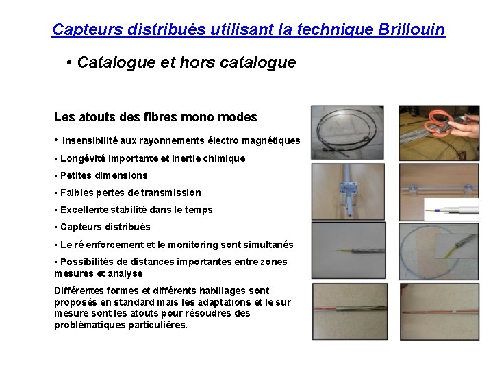 Capteurs distribués utilisant la technique Brillouin • Catalogue et hors catalogue Les atouts des