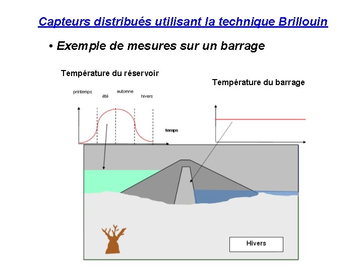 Capteurs distribués utilisant la technique Brillouin • Exemple de mesures sur un barrage Température