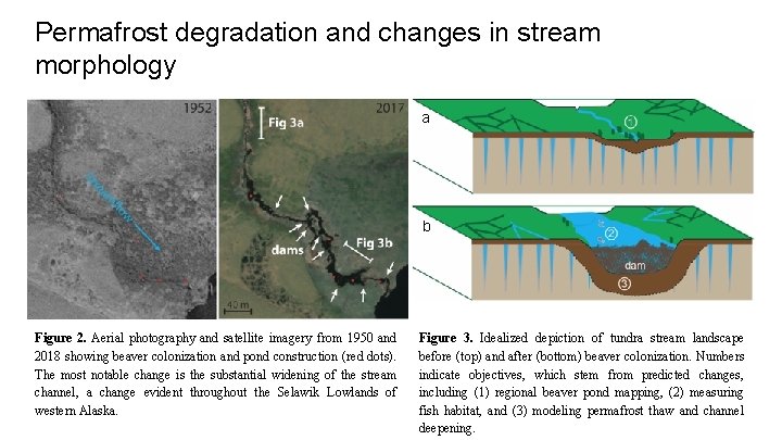 Permafrost degradation and changes in stream morphology a b Figure 2. Aerial photography and Permafrost degradation and changes in stream morphology a b Figure 2. Aerial photography and