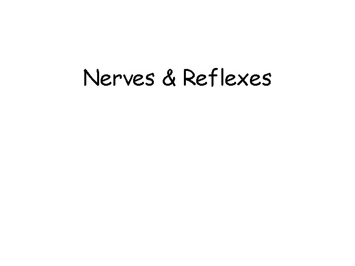 Nerves & Reflexes 