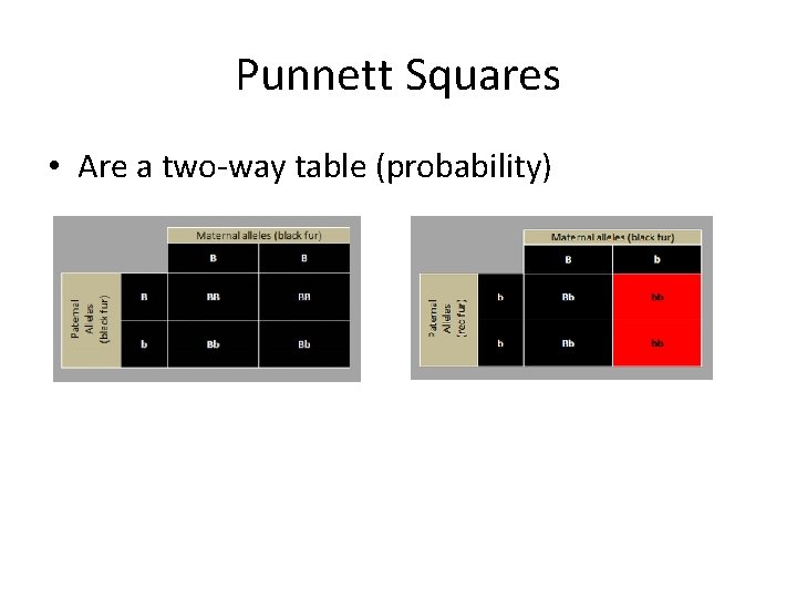 Punnett Squares • Are a two-way table (probability) 