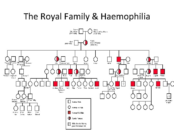 The Royal Family & Haemophilia 
