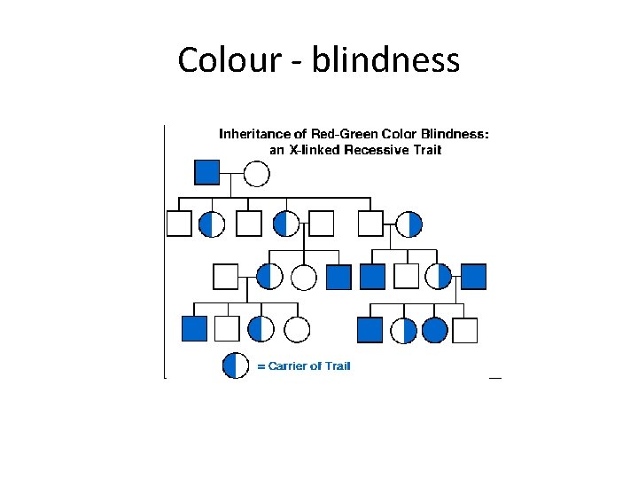 Colour - blindness 