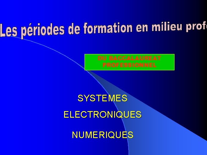 DU BACCALAUREAT PROFESSIONNEL SYSTEMES ELECTRONIQUES NUMERIQUES 