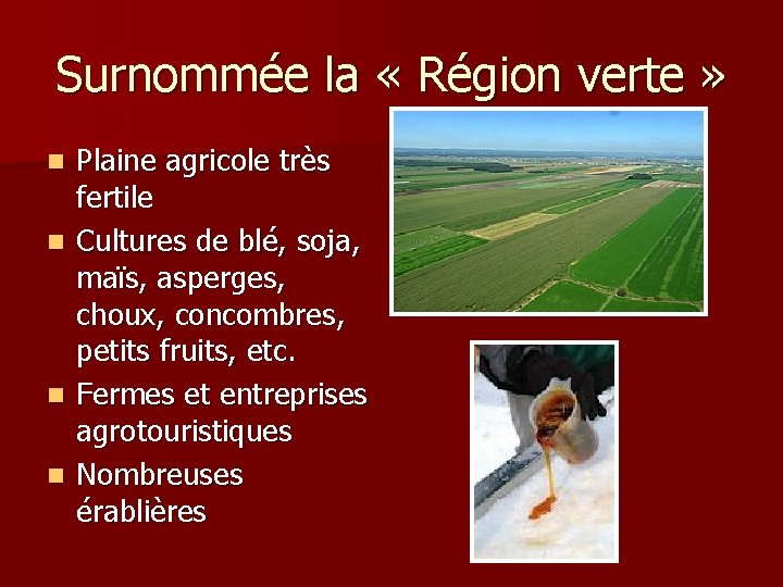 Surnommée la « Région verte » n n Plaine agricole très fertile Cultures de