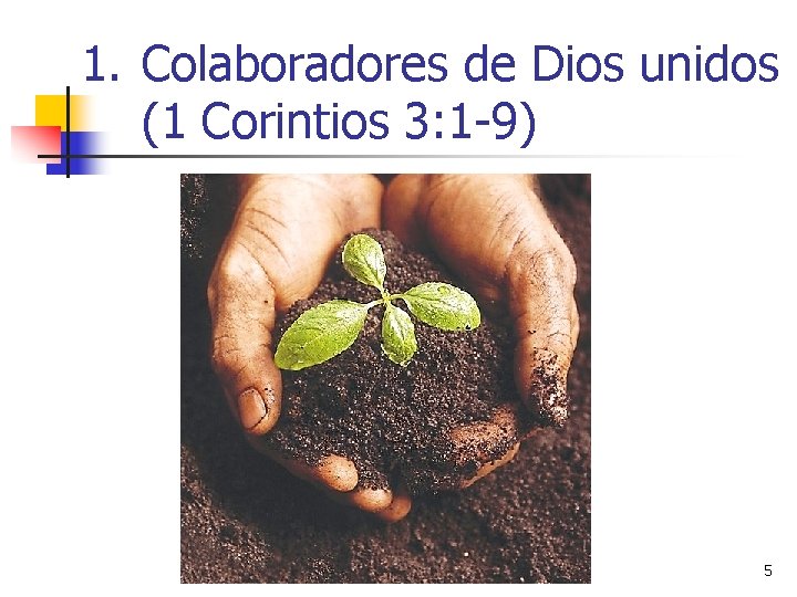 1. Colaboradores de Dios unidos (1 Corintios 3: 1 -9) 5 