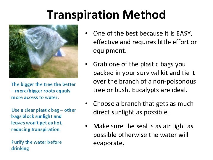 Transpiration Method • One of the best because it is EASY, effective and requires