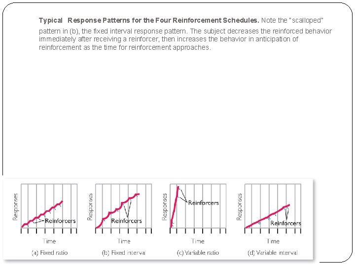 Typical Response Patterns for the Four Reinforcement Schedules. Note the “scalloped” pattern in (b),