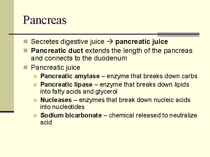 Pancreas n Secretes digestive juice pancreatic juice n Pancreatic duct extends the length of