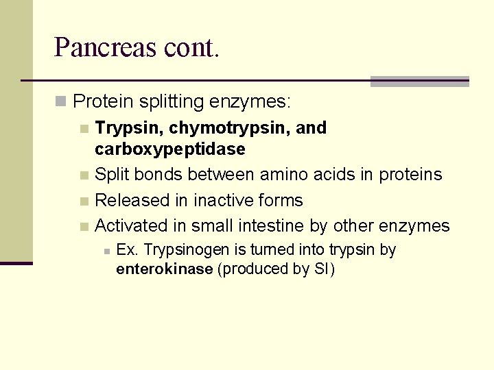 Pancreas cont. n Protein splitting enzymes: n Trypsin, chymotrypsin, and carboxypeptidase n Split bonds