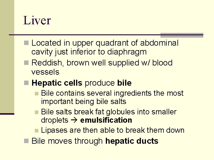 Liver n Located in upper quadrant of abdominal cavity just inferior to diaphragm n