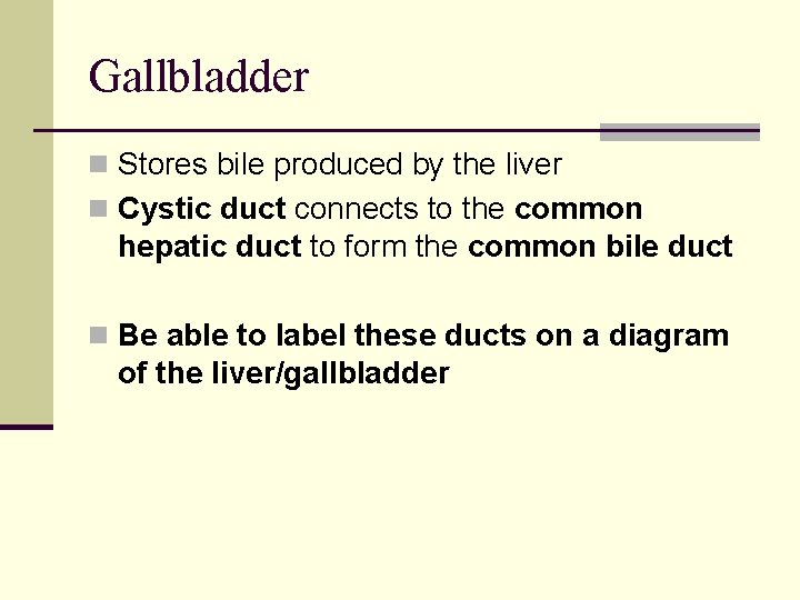 Gallbladder n Stores bile produced by the liver n Cystic duct connects to the